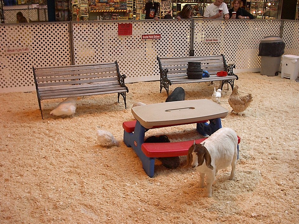 Milieu Educatie en Kinderboerderij (MEK)