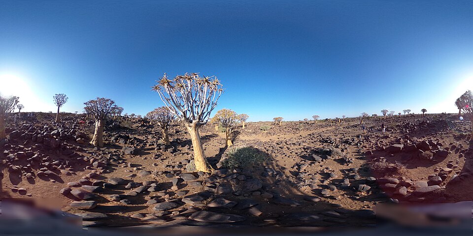 speelbos
