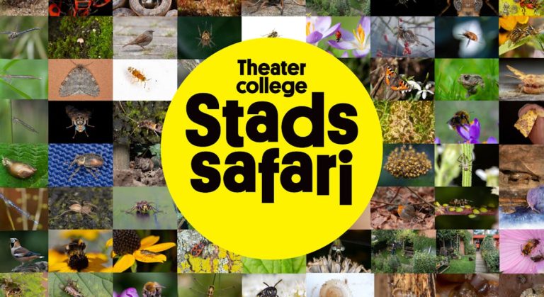 Stadssafari — theater in Oosterhout