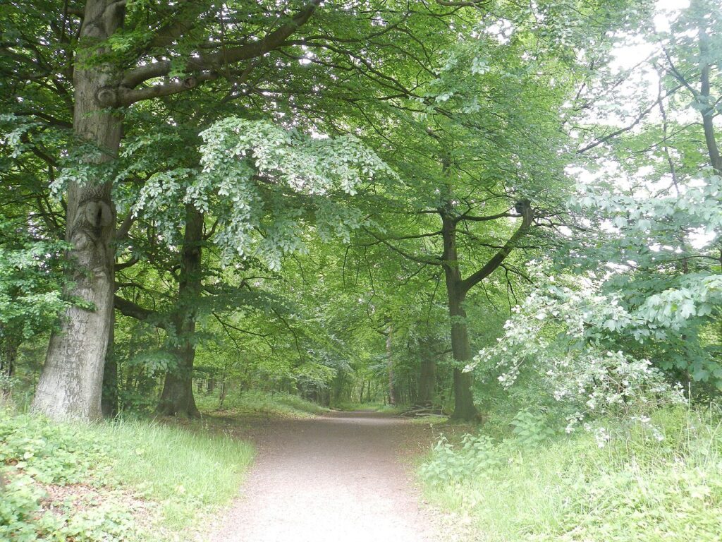 Wat er achter zit Ommetje om de Oosterhoutse abdij | Onze Lieve Vrouwe Abdij in Oosterhout